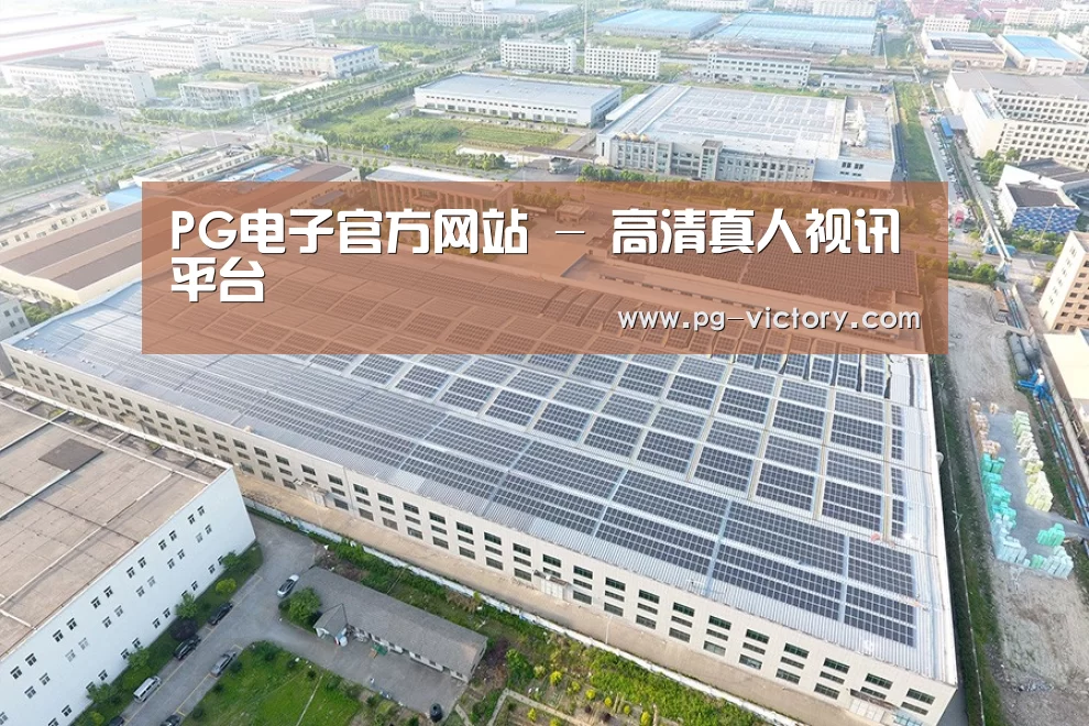 案例展示四