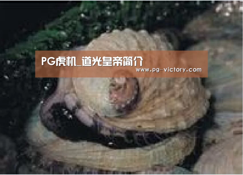 PG虎机_道光皇帝简介(图2) PG麻将