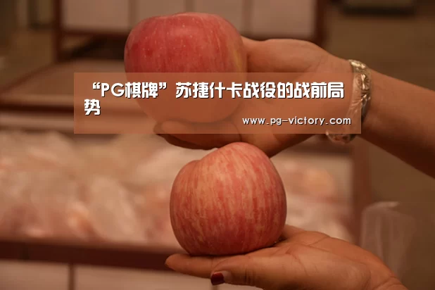 “PG棋牌”苏捷什卡战役的战前局势(图2) PG虎机